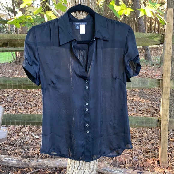 banana republic sheer blouse